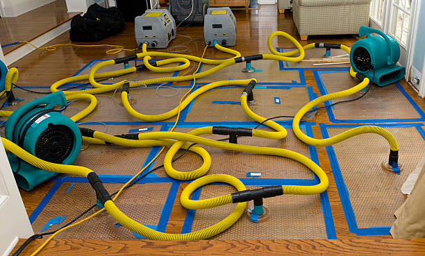 Professional Crawl Space Water Removal technician working in Sugar Hill, GA